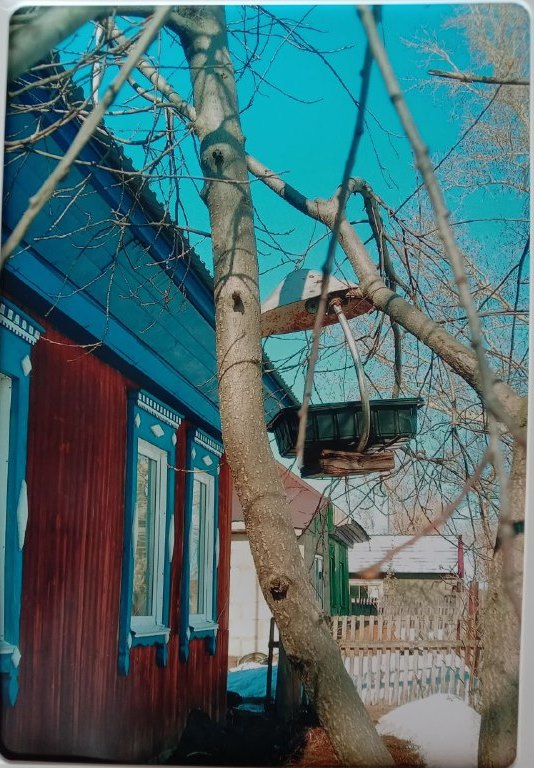 сиб6